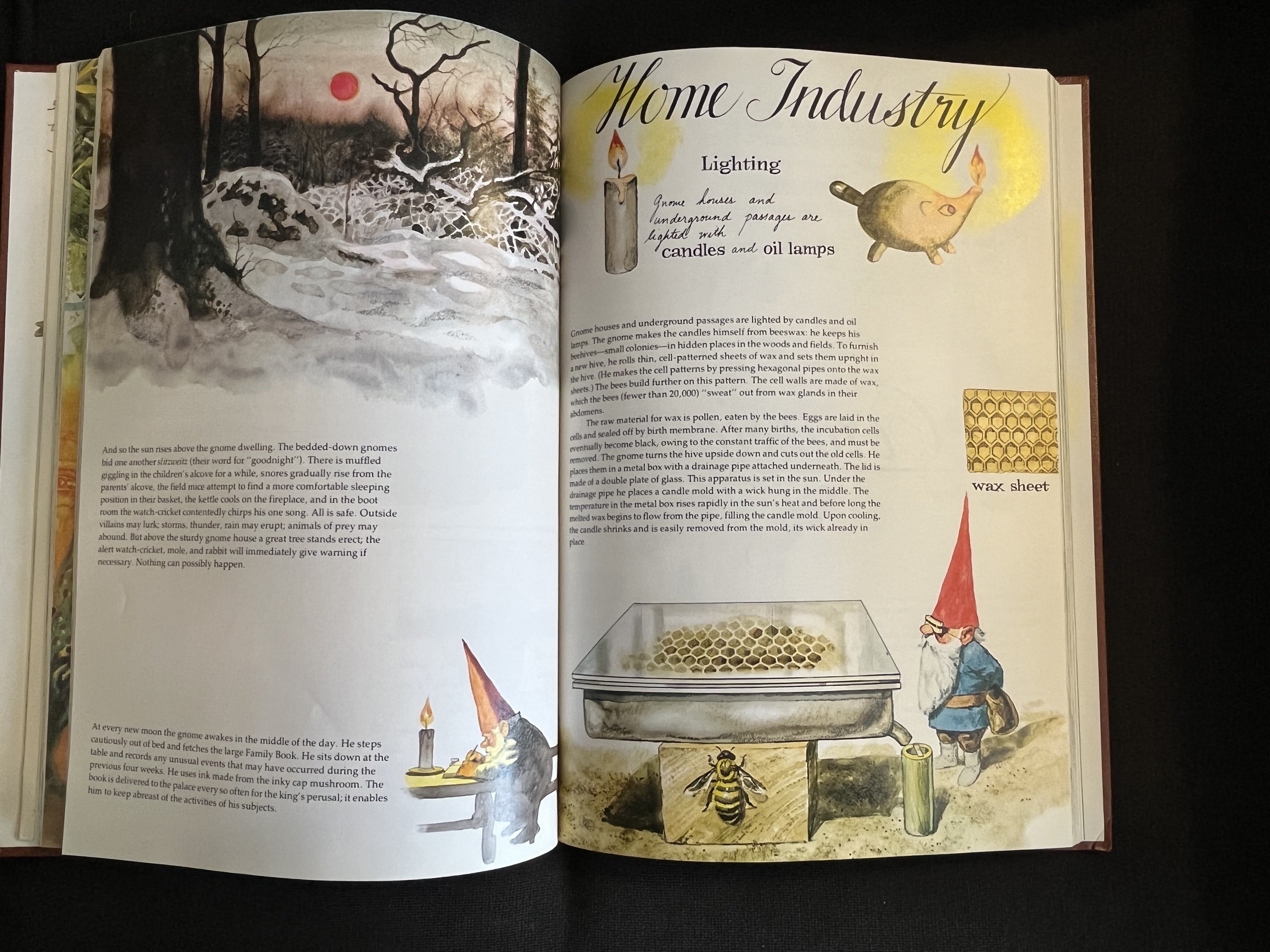 Illustration Placement Examples 1.jpg