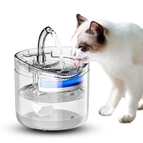 cat fontain1 Spocket.jpg