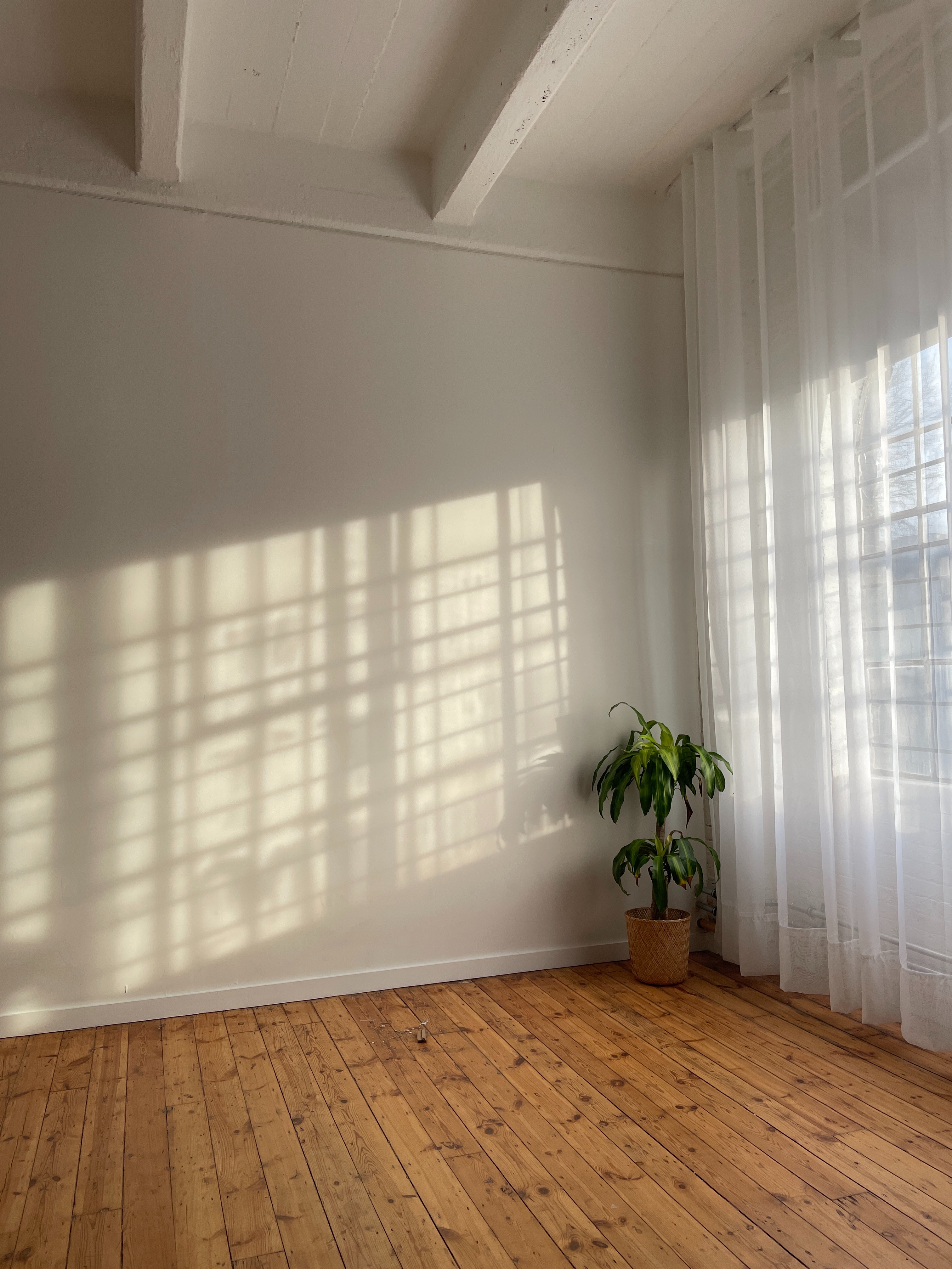 Beautiful 600sqft Photographic Studio share | Woolwich photo 4